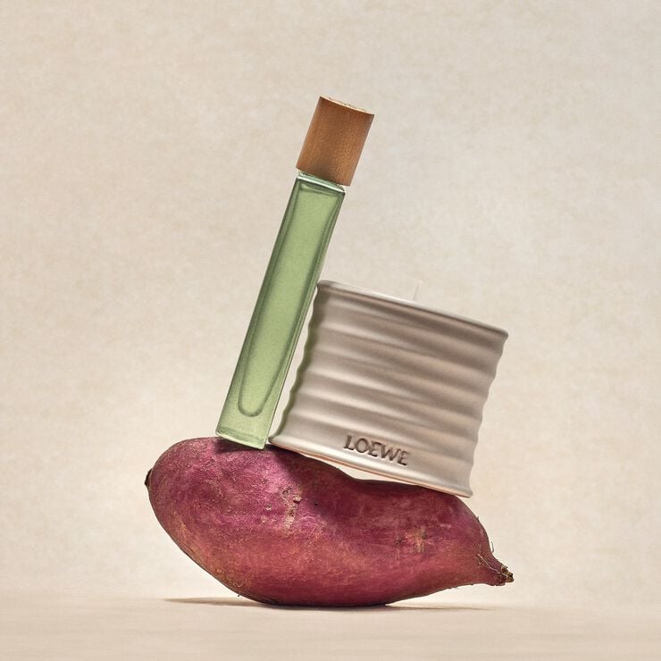 LOEWE Oregano Medium Candle