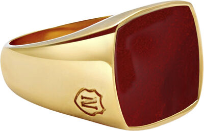 Men's Gold Plated Signet Ring with Red Agate