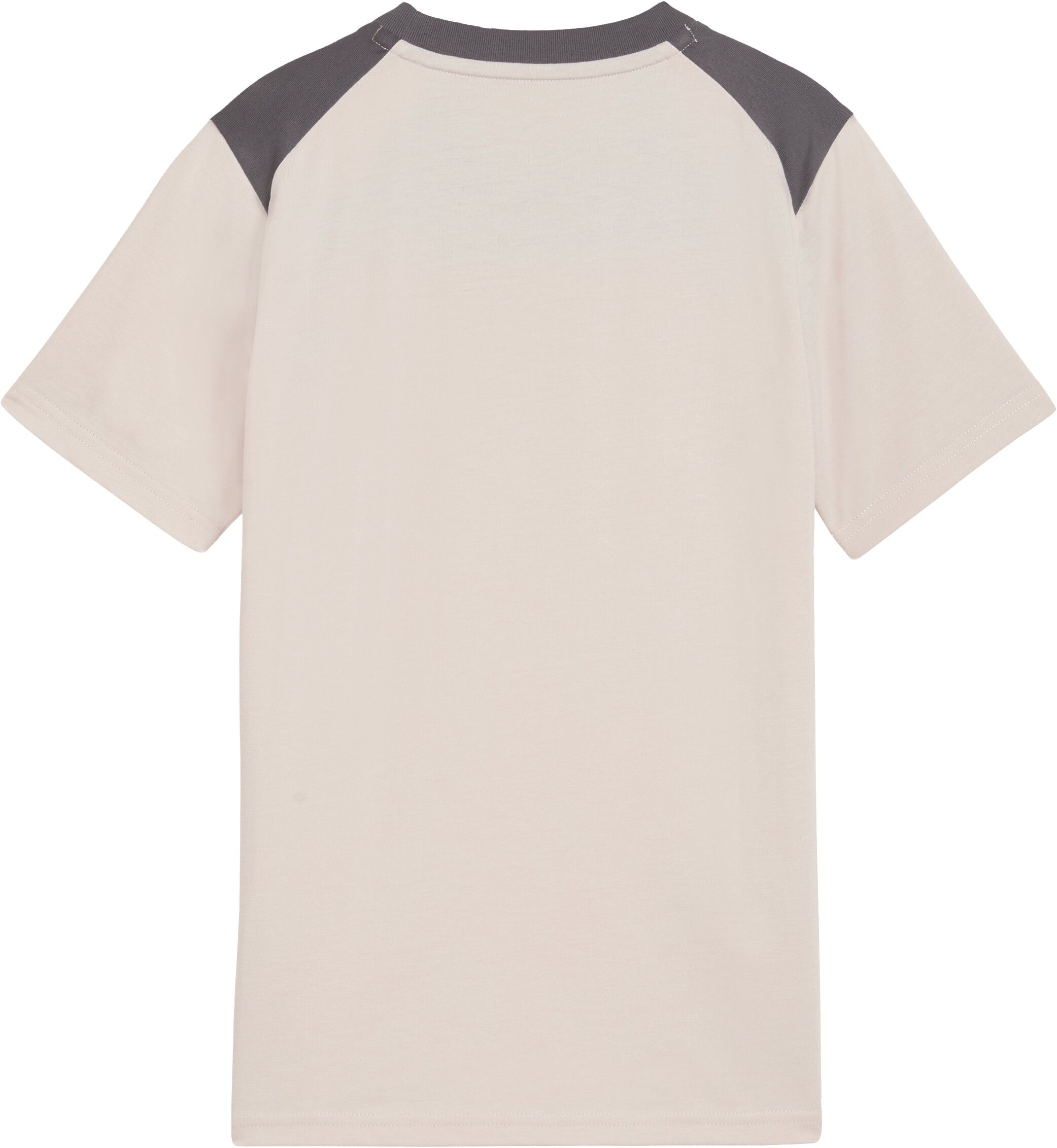 PUMATECH ESSENTIALS TEE B