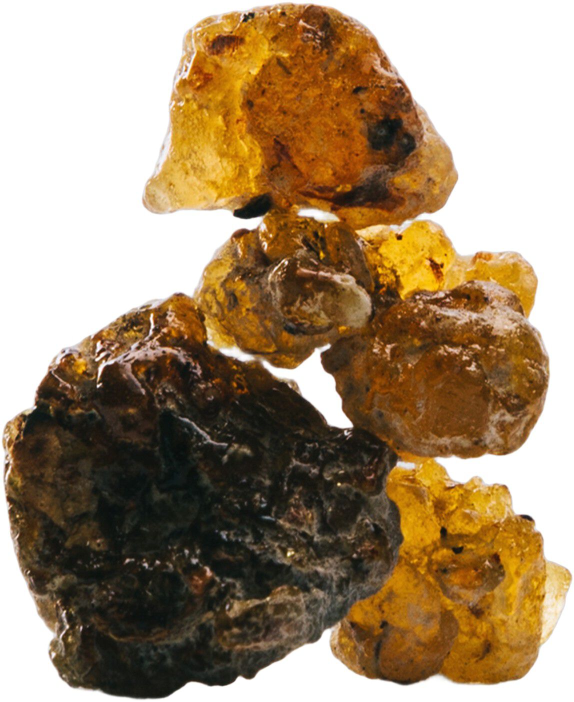 LOEWE 7 Cobalt Eau de Parfum