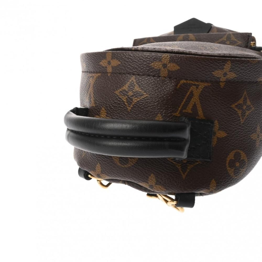 Louis Vuitton Palm Springs