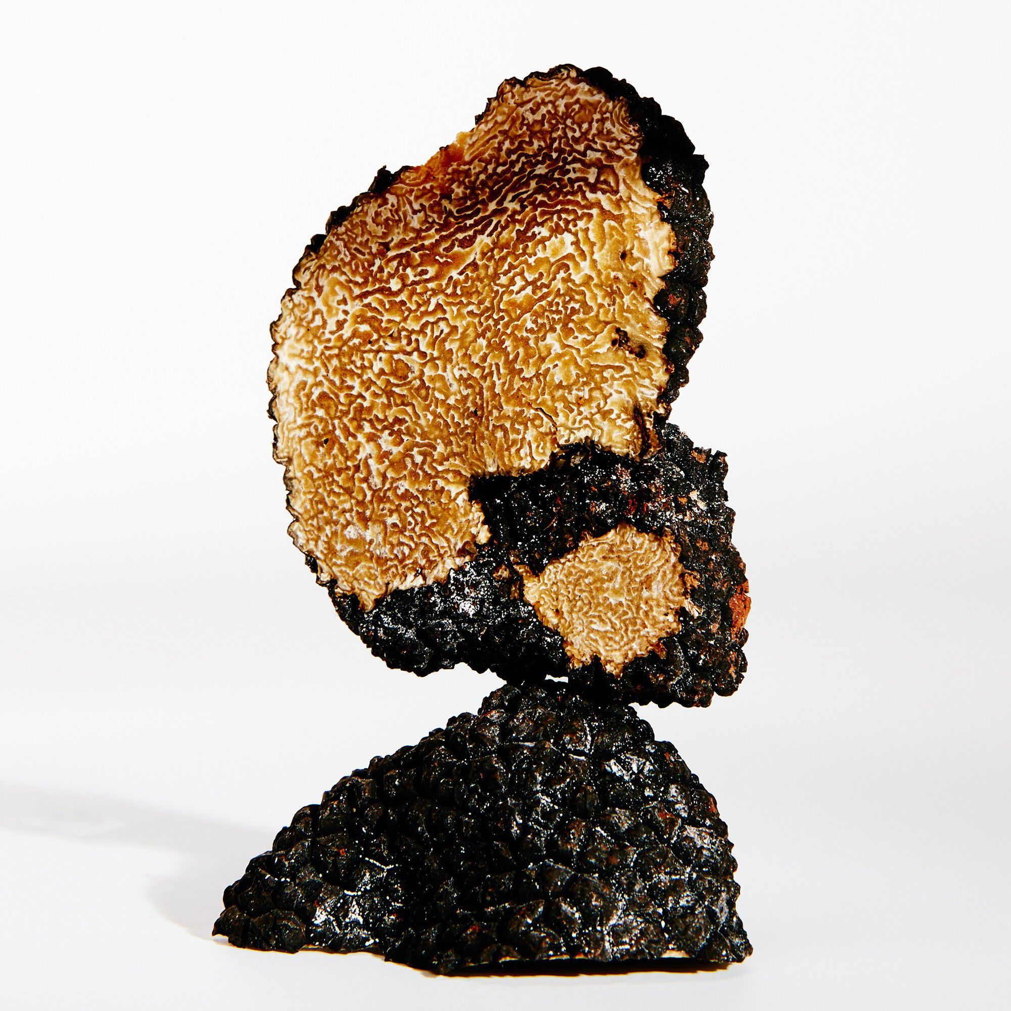 LOEWE Earth Eau de Parfum