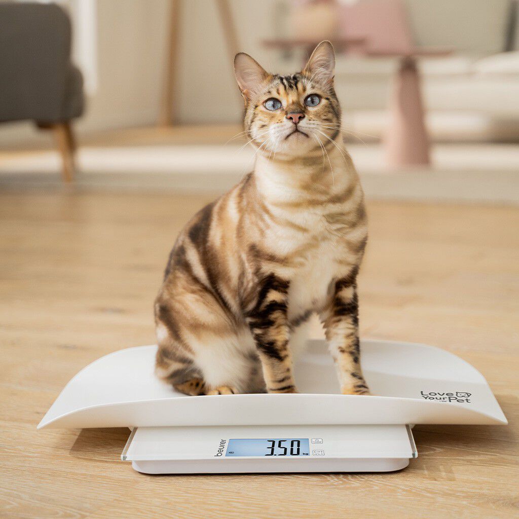 PetCare PP 170 Polly Multifunktionsv&aelig;gt til k&aelig;ledyr