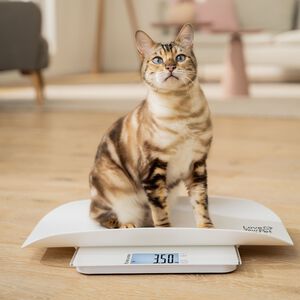 PetCare PP 170 Polly Multifunktionsvægt til kæledyr