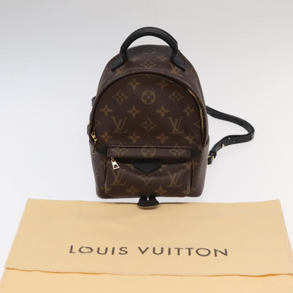 Louis Vuitton Palm Springs