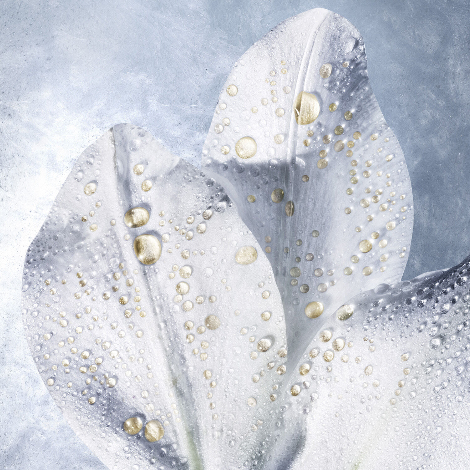 Helena Rubinstein Prodigy Cellglow Olixir 30ml