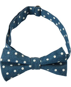 POLKA DOTS DENIM BOW TIE