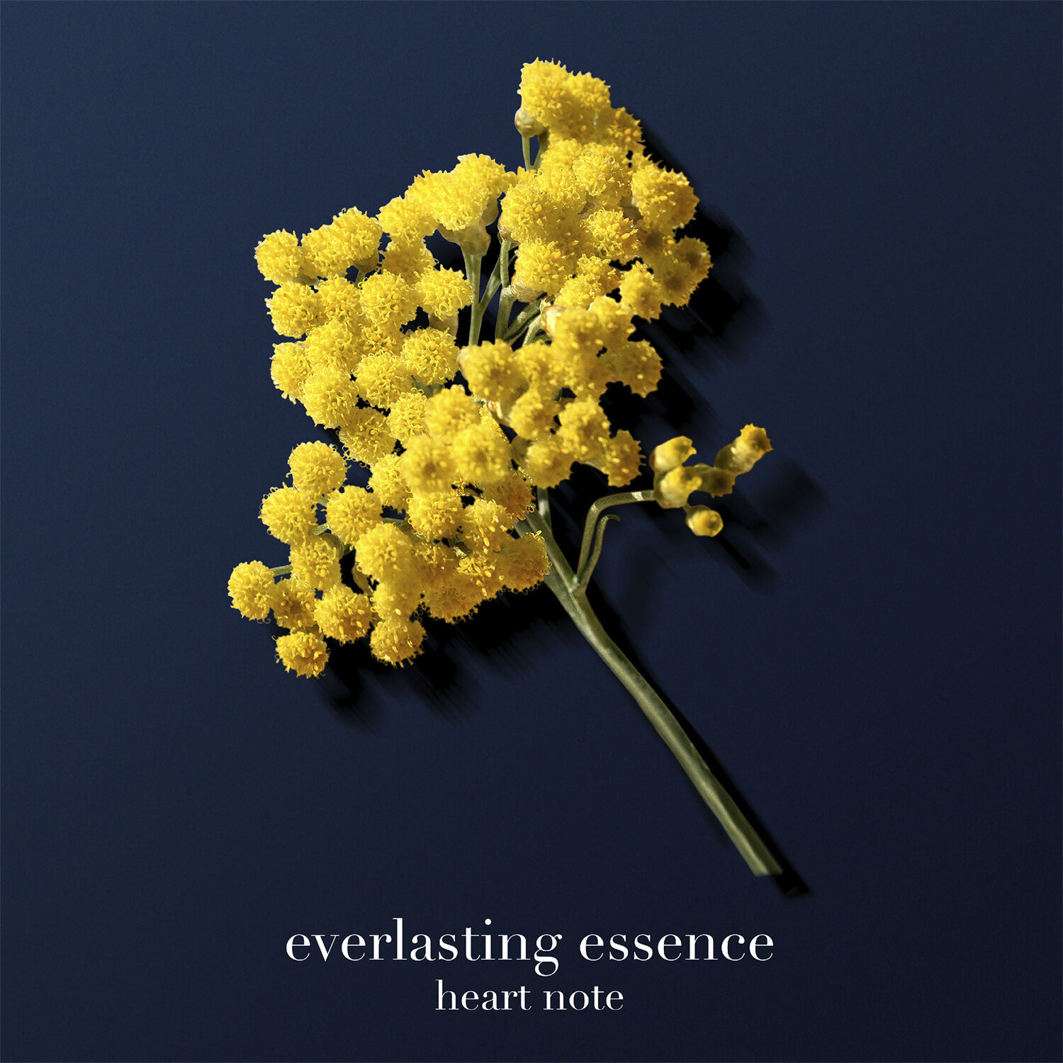 Armani Acqua di Gi&ograve; Profondo Parfum