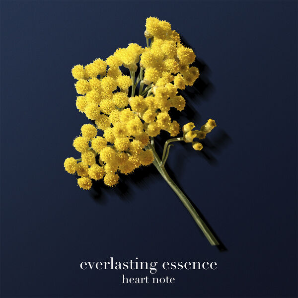 Armani Acqua di Giò Profondo Parfum