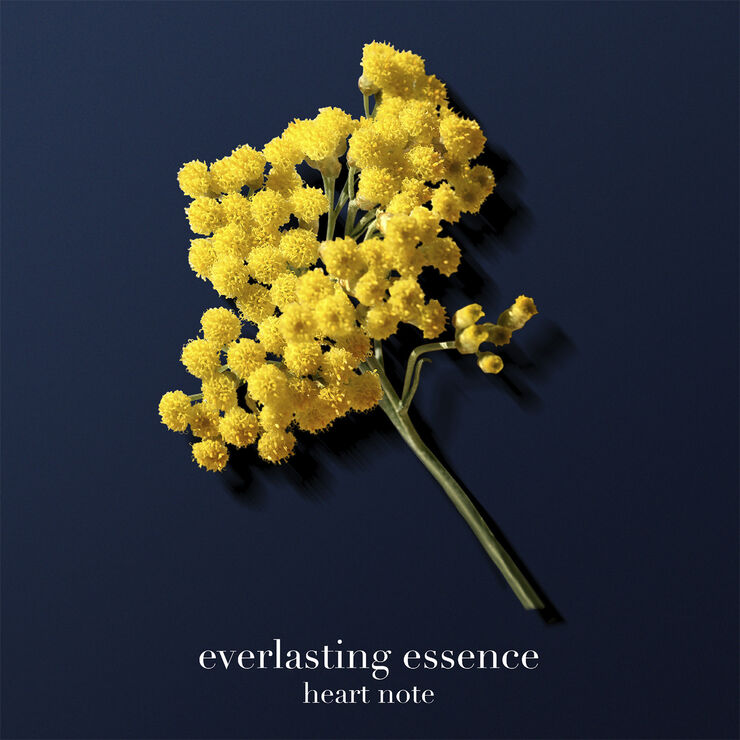 Armani Acqua di Giò Profondo Parfum