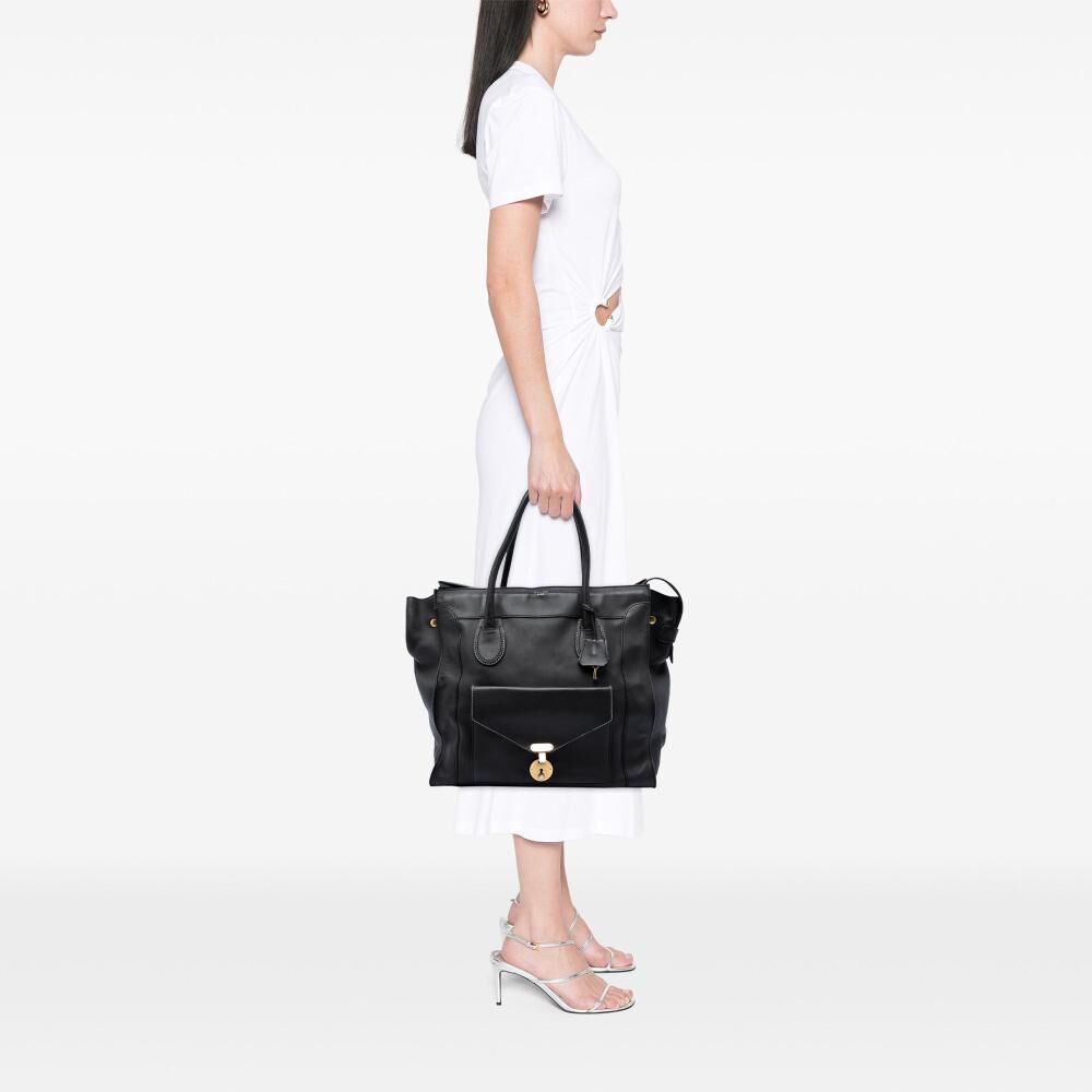 Celine Luggage