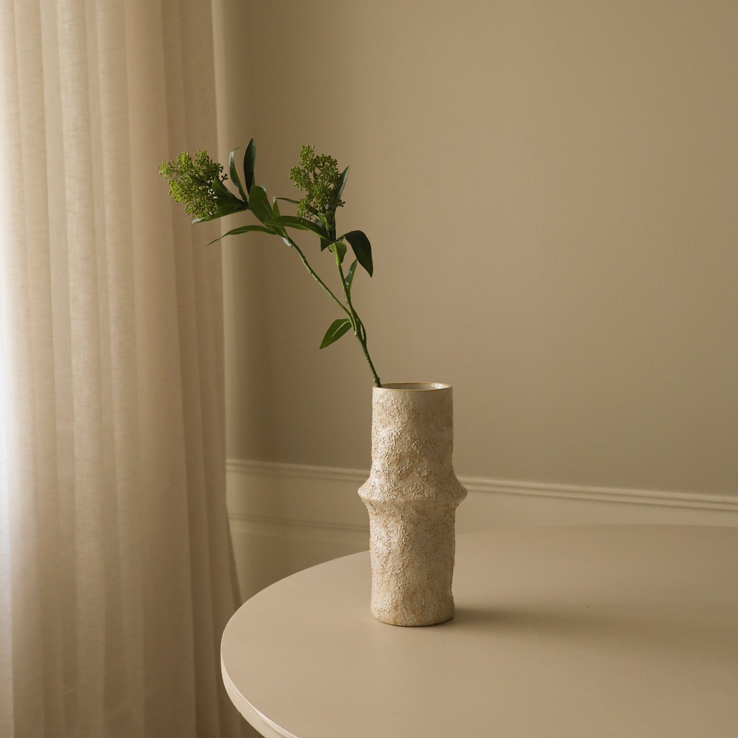 Skimmia Berry Branch