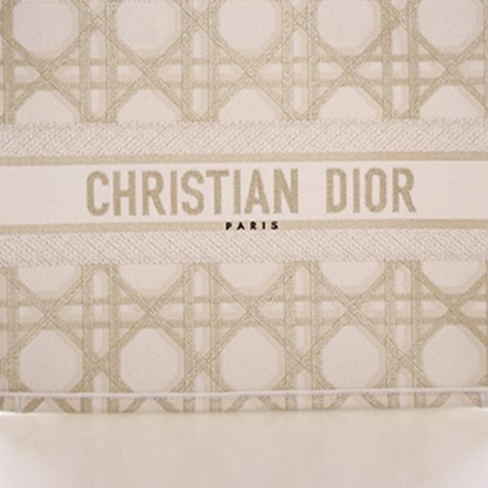 Dior Book Tote