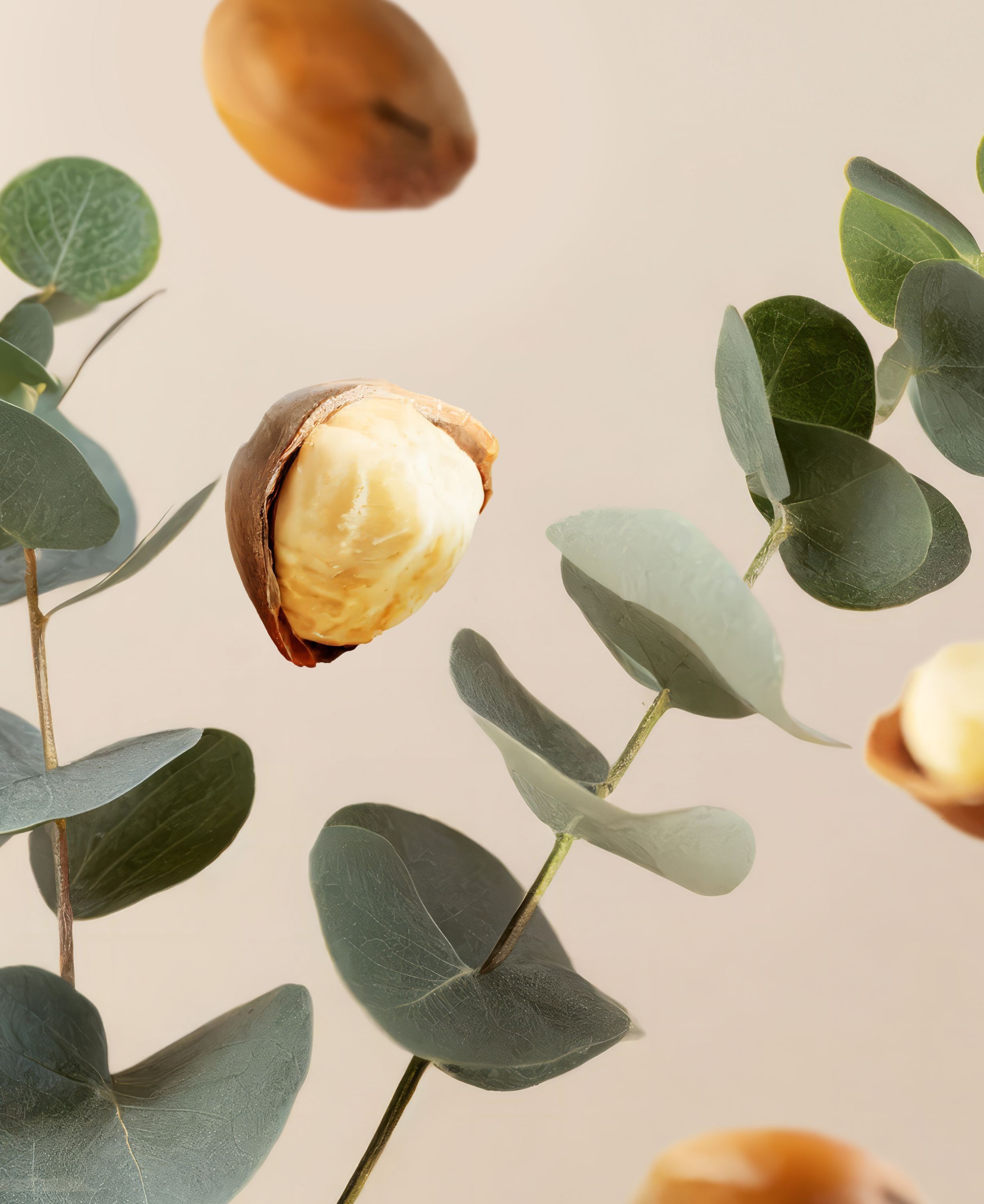 Fortune Balms - Repair