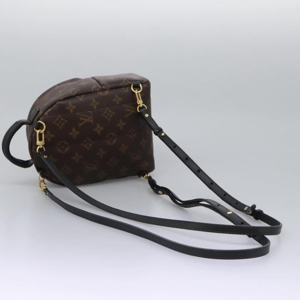 Louis Vuitton Palm Springs