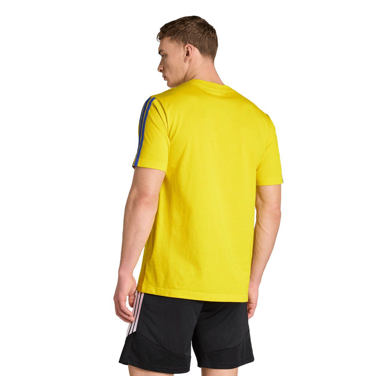Sverige DNA T-shirt