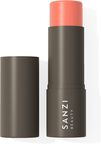 Stick bronzer