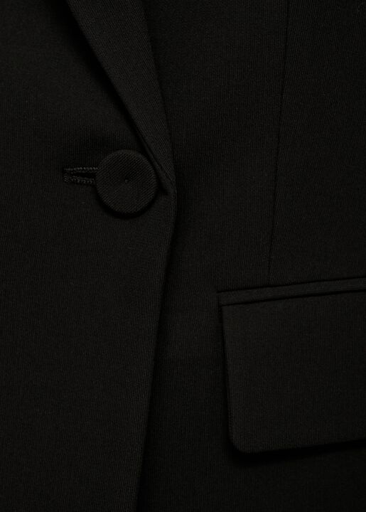BLAZER. -- IGUANA