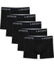 5 PACK TRUNK