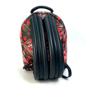 Louis Vuitton Palm Springs