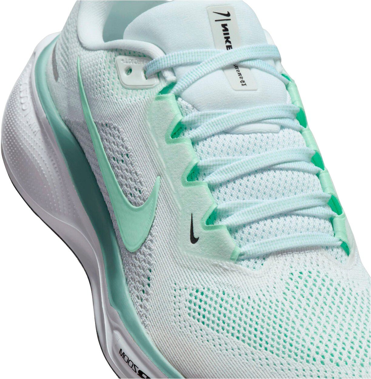 Pegasus 41 L&oslash;besko