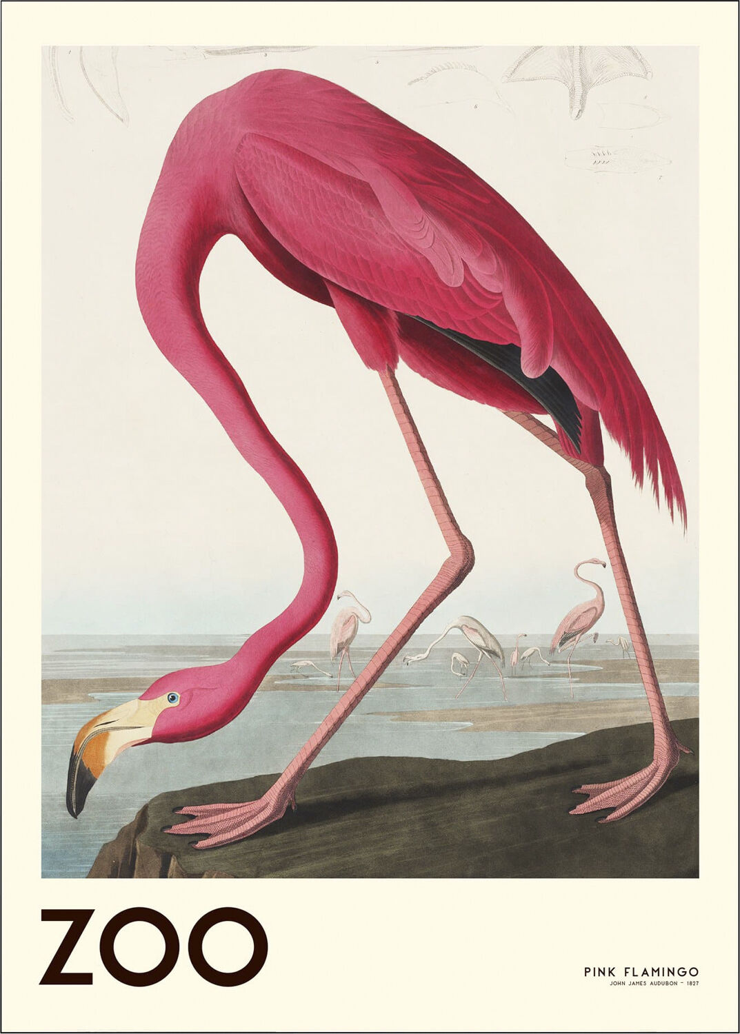 The Zoo Collection Pink Flamingo Edt. 001