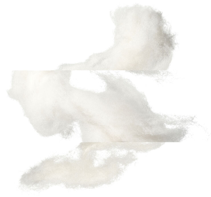 Eau de rhubarbe écarlate Eau de Cologne