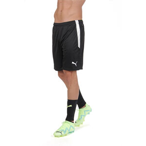 Teamliga shorts