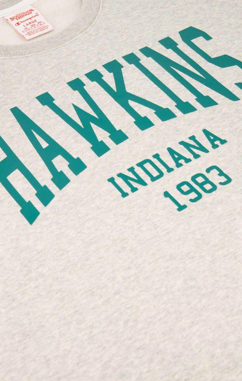 Champion X Stanger Things Hawkings sweatshirt