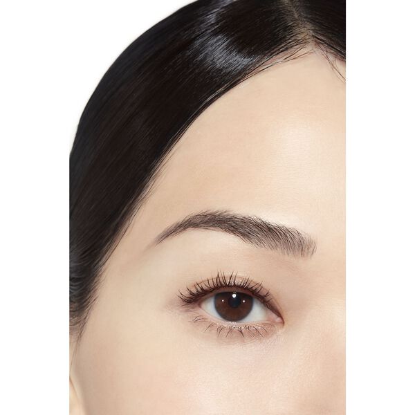 Definition Mascara
