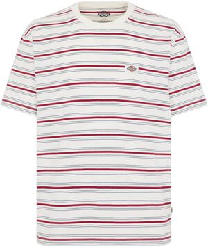 LEWISTOWN STRIPE SS TEE EGRET