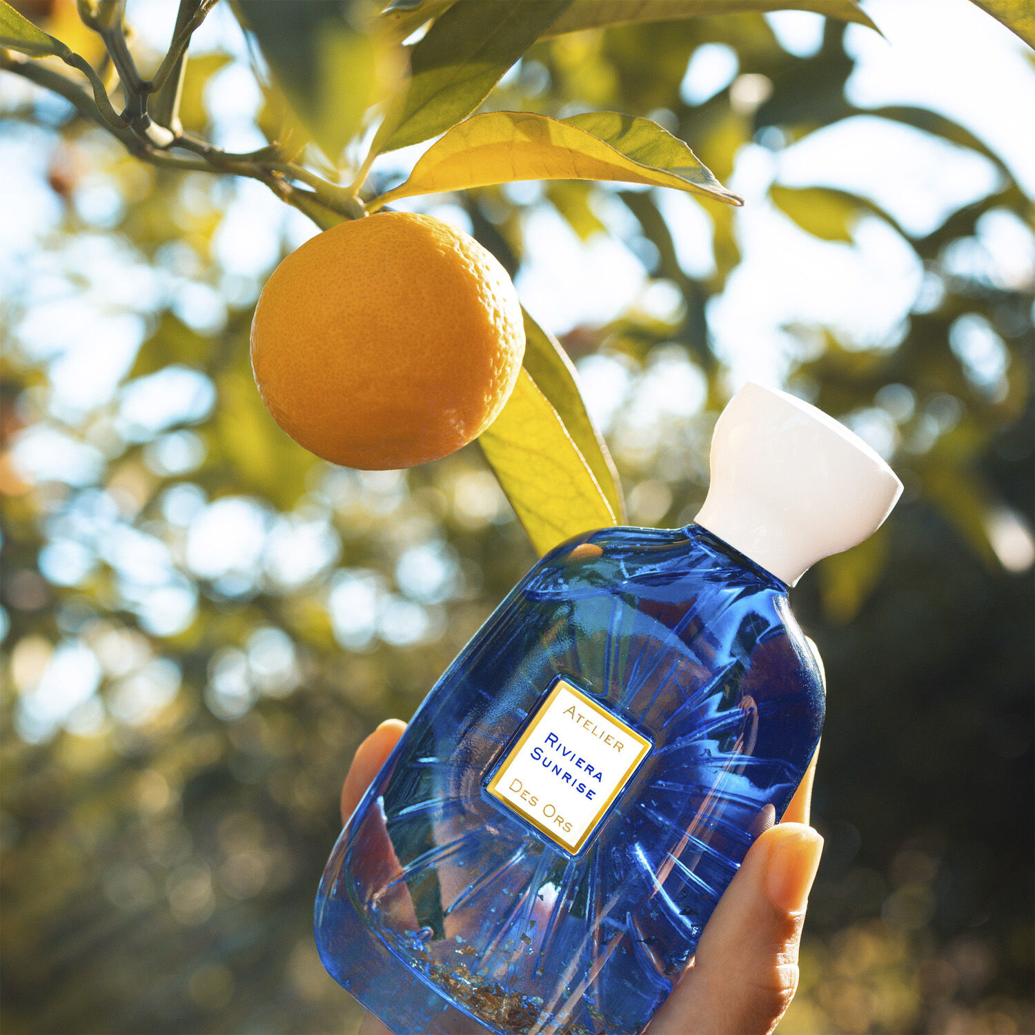 RIVIERA SUNRISE - EDP 100ML