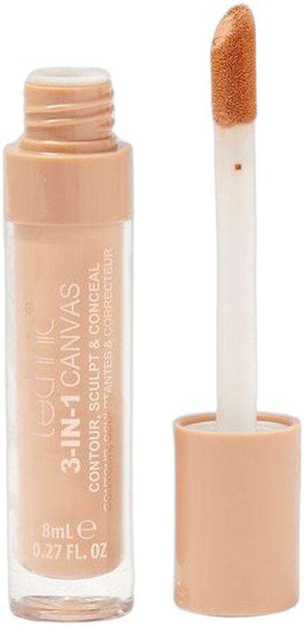3-in-1 Canvas Concealer