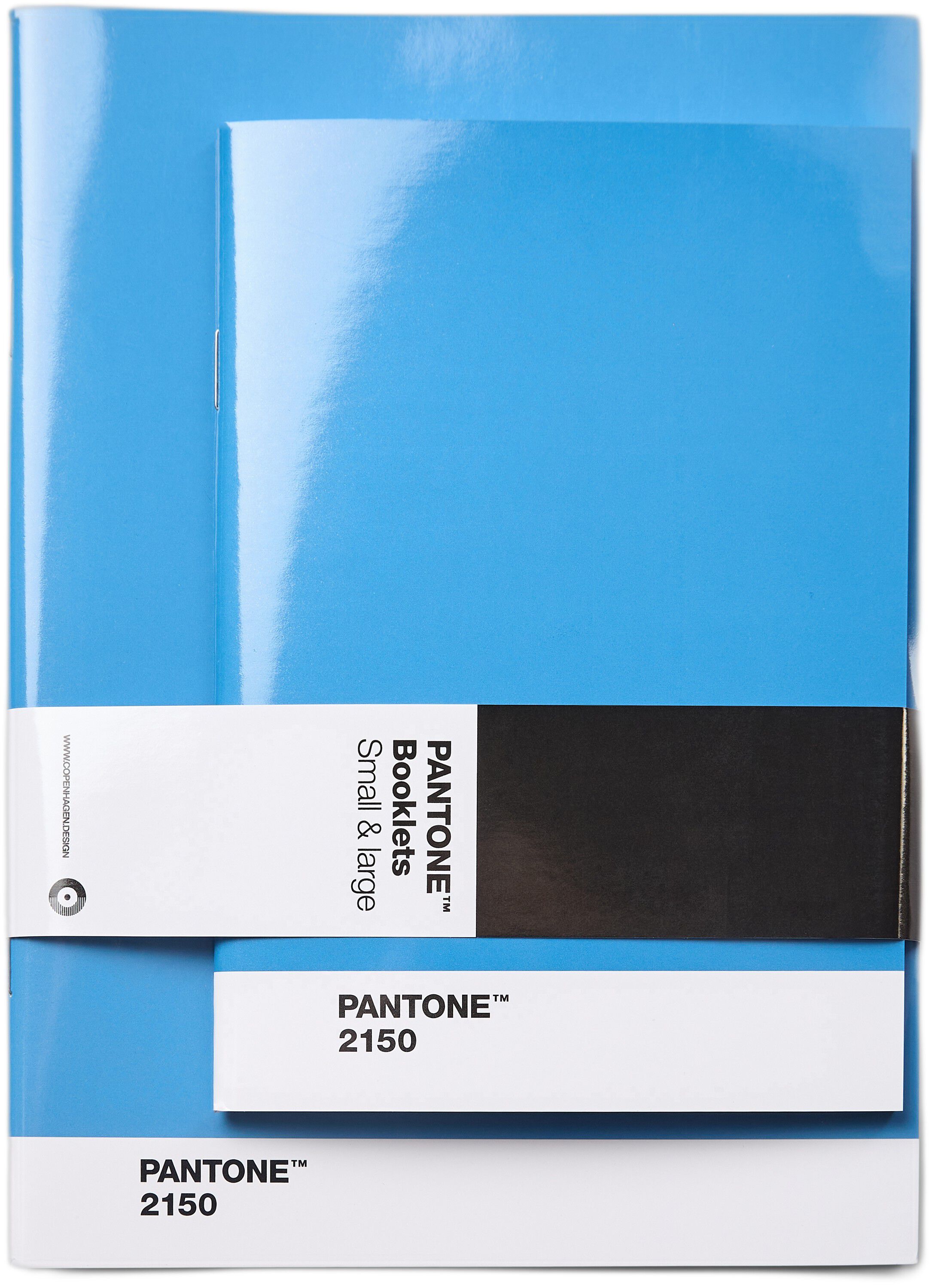 Pantone BOOKLETS SET OF 2 DOTTED - Blue