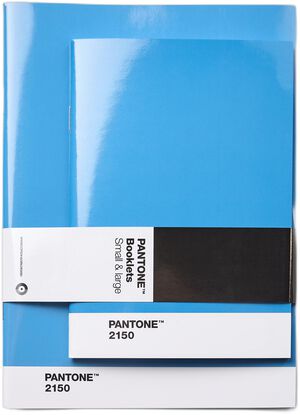 Pantone BOOKLETS SET OF 2 DOTTED - Blue