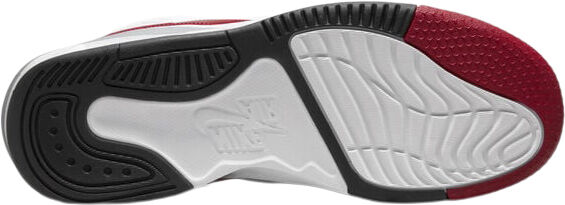 Jordan Max Aura 5 Basketballsko