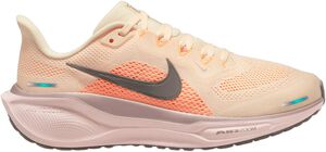 Pegasus 41 L&oslash;besko