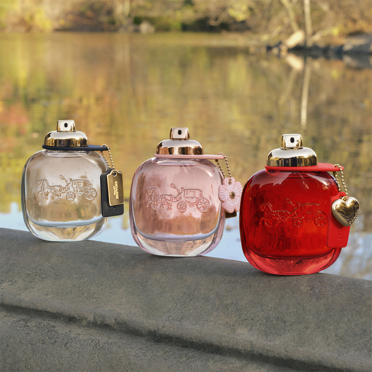 Coach Love Eau de Parfum