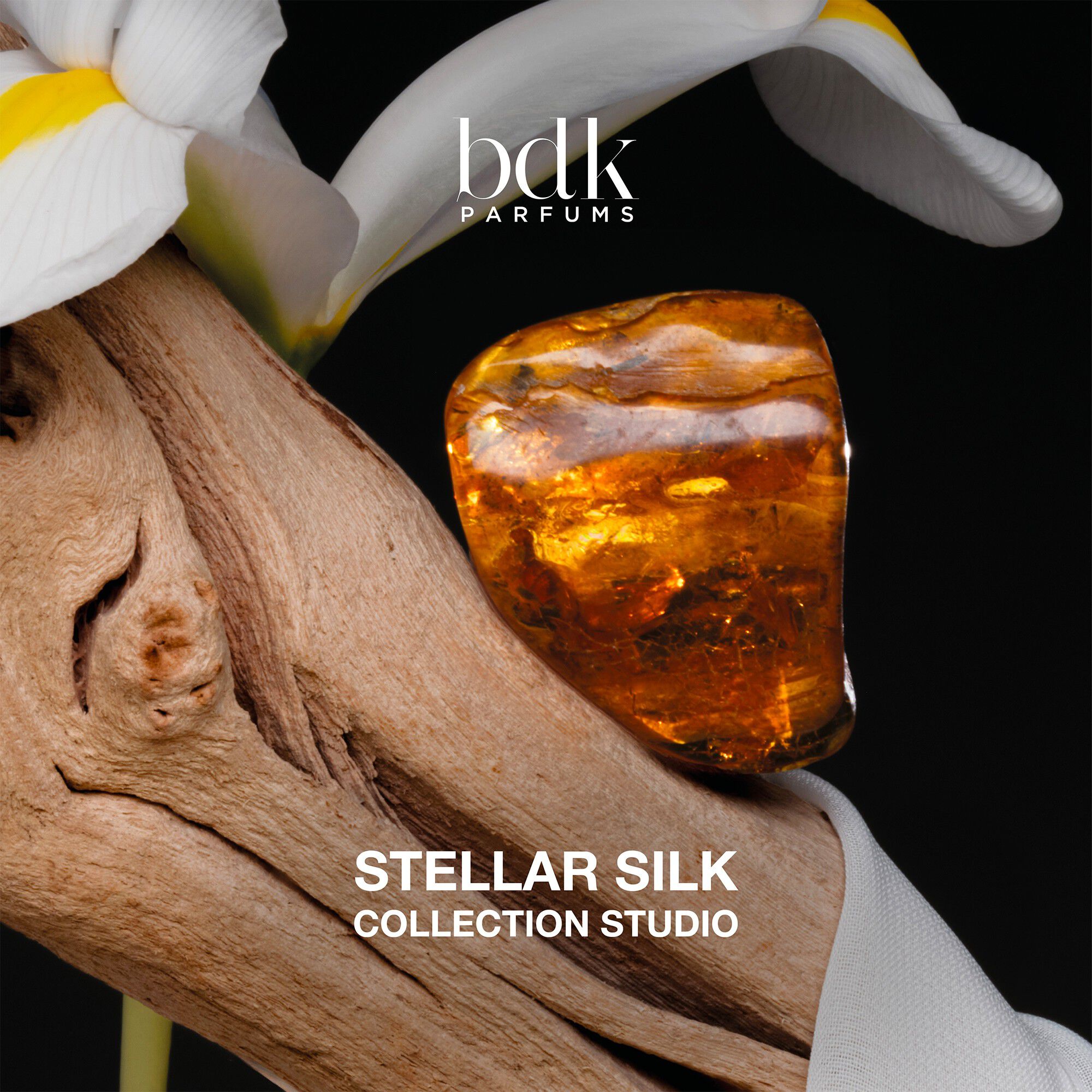 BDK STELLAR SILK 100 ML
