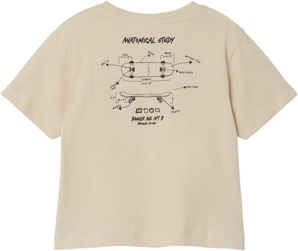 NMMLASSO NREG SS TOP