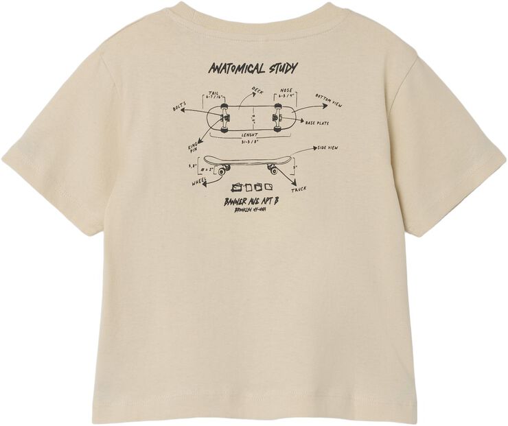 NMMLASSO NREG SS TOP