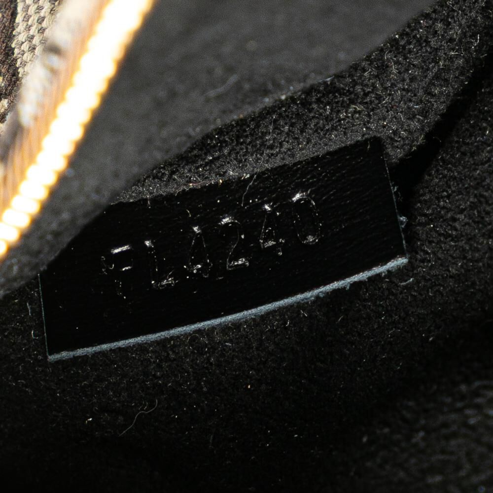 Louis Vuitton Shoulder Bags