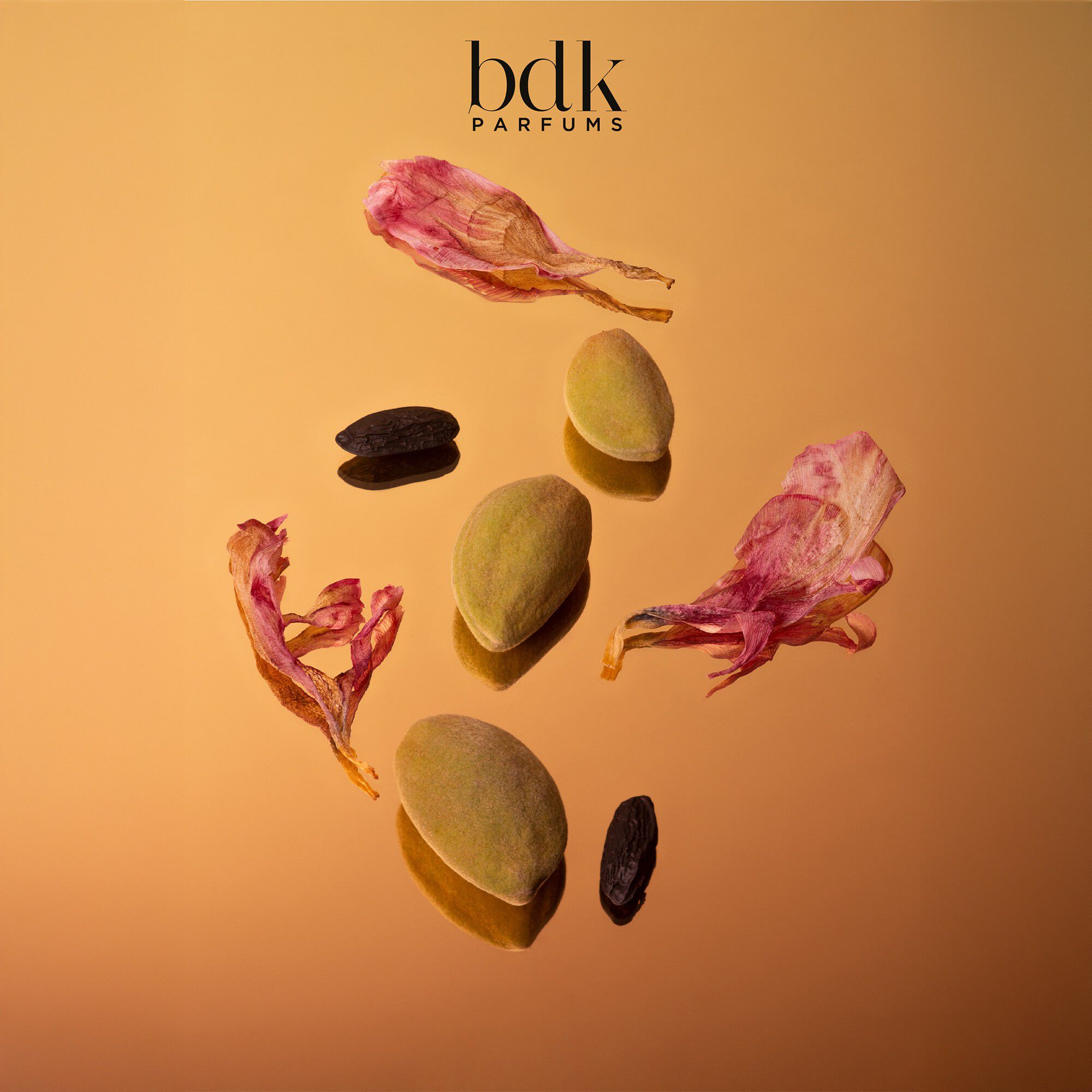 VELVET TONKA - Eau de Parfum 100 ML