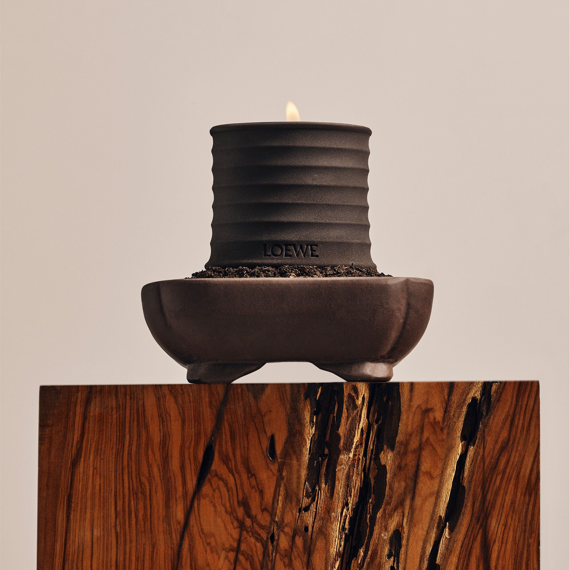 LOEWE Orchid Textur Small Candle