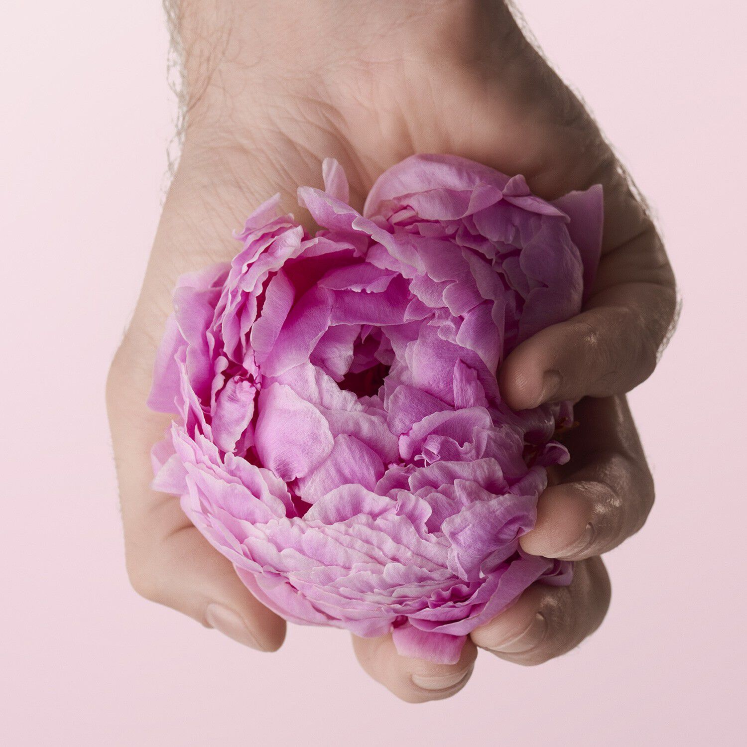 N&aelig;rende bodycreme med pisket sm&oslash;r - fugtighed i 24 timer