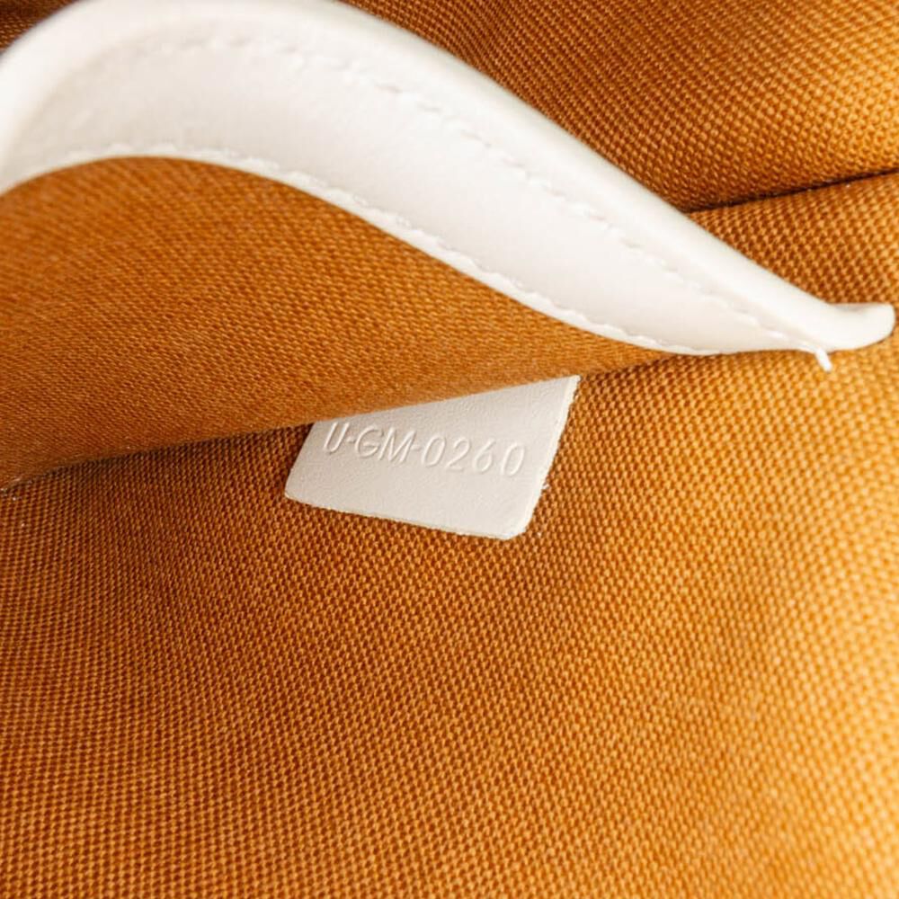 Celine Crossbody Bag