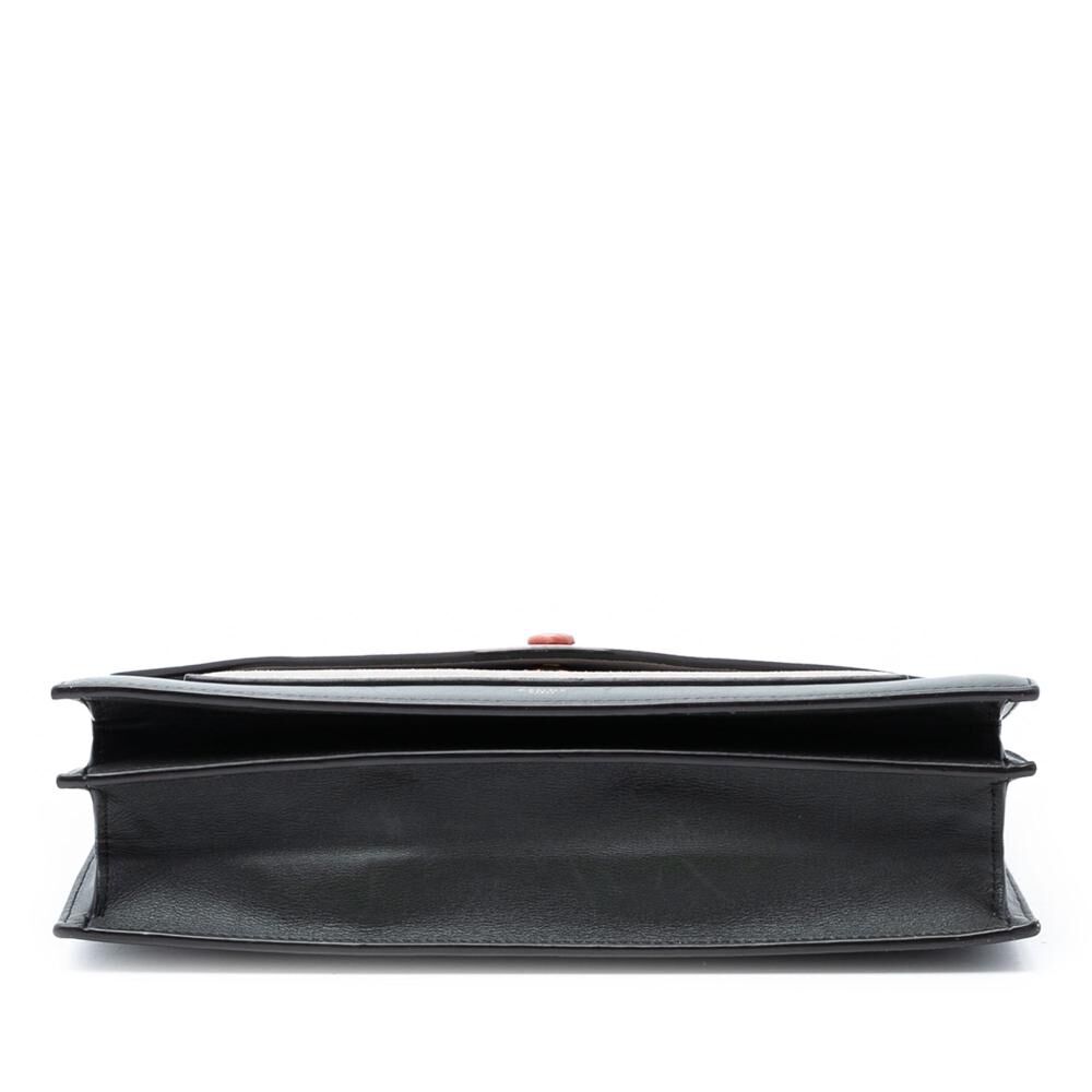 Celine Crossbody Bag