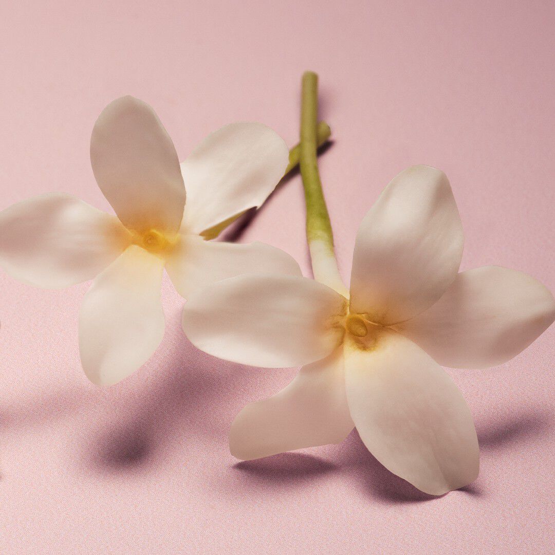 Lumi&egrave;re du Jour Eau de Parfum Kit