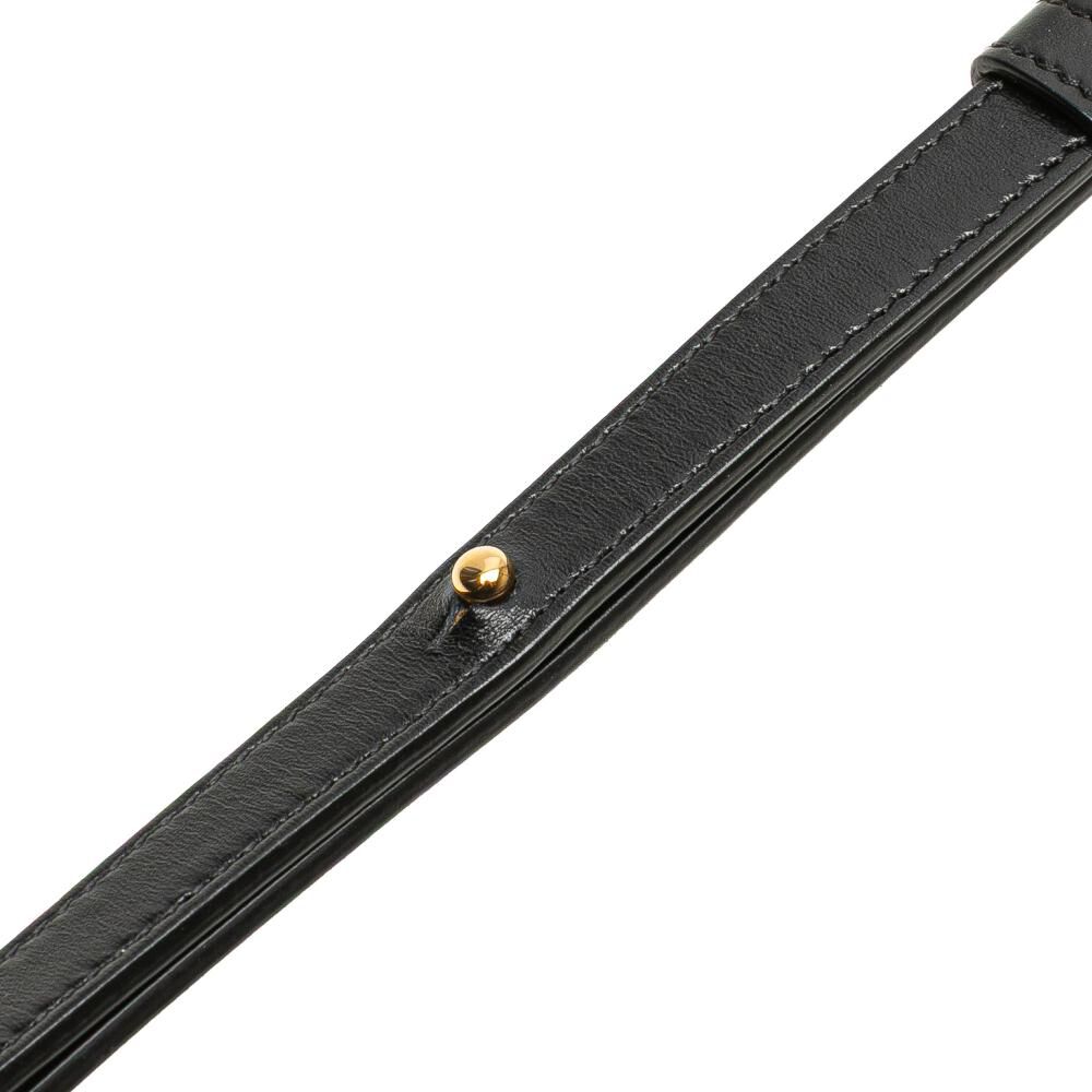 Celine Crossbody Bag