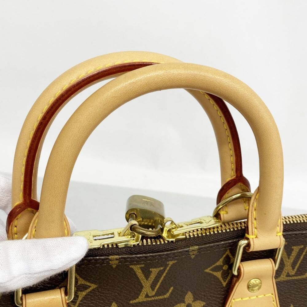 Louis Vuitton Handbag